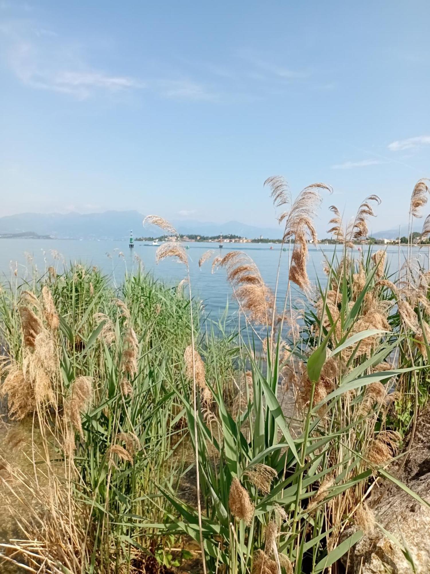 Miragarda Sirmione Apartment Ngoại thất bức ảnh